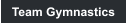 Team Gymnastics